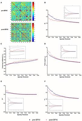 Metabolic Brain Network Analysis With 18F-FDG PET in a Rat Model of Neuropathic Pain